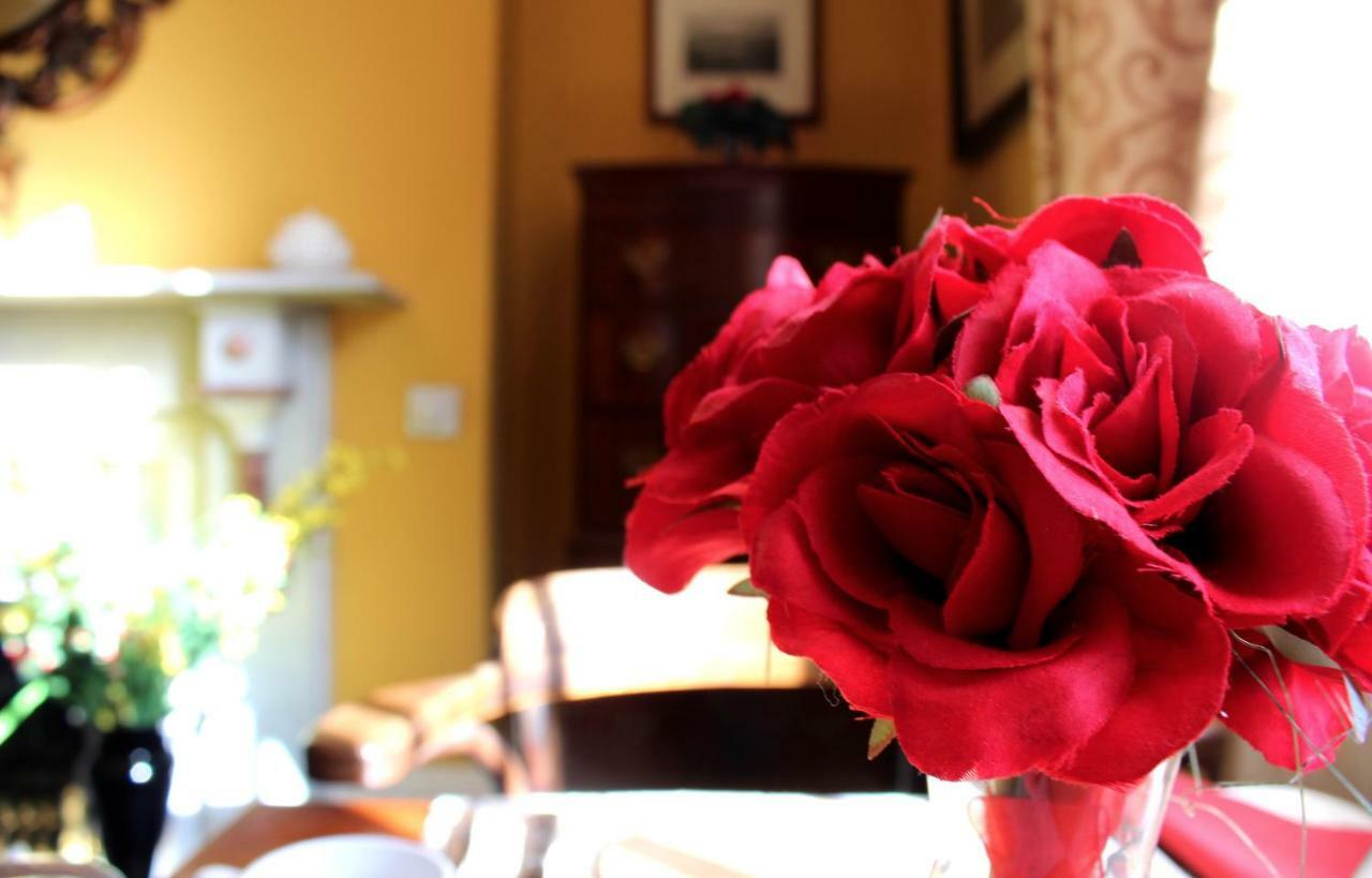 Holly House Bed And Breakfast And Apartments Hereford Ngoại thất bức ảnh